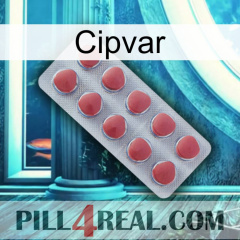 Cipvar 18